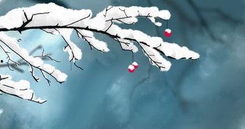 娱乐吃瓜酱长相思,长相思中的美食与人生百态